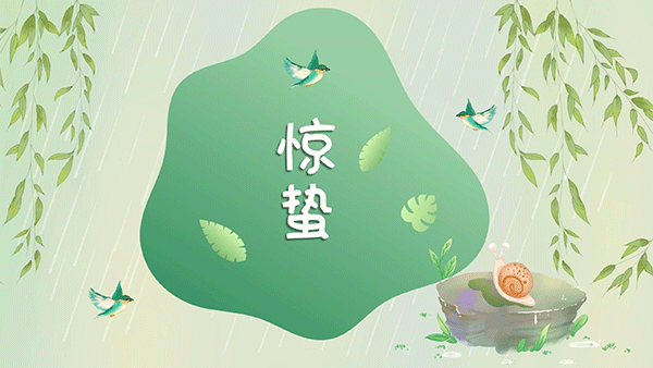 黄猫木业|惊蛰节气大地回春